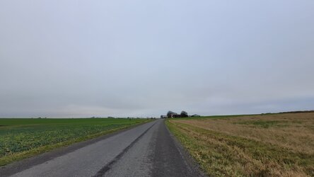 20241228_134554.jpg 20241228_134554.jpg