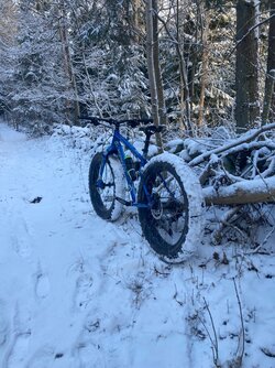 IMG_9669.jpeg