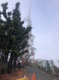 IMG_7952.jpeg