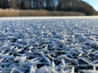 IMG_5336.jpeg