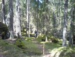 DSC07797.JPG