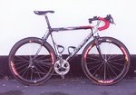 fiffi_carraro991.jpg