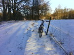 DSC00166.JPG