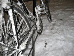snoe1.JPG