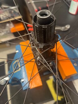 IMG_7867.jpeg