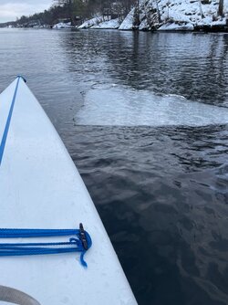 IMG_5713.jpeg