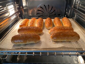 IMG_2294.jpeg