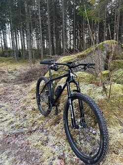 IMG_3144.jpeg