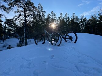 IMG_1340.jpeg