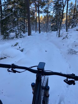 IMG_0080.jpeg