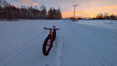 PXL_20250112_103530944~2.jpg
