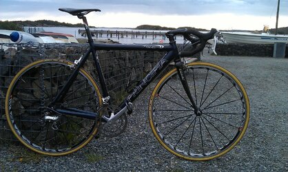 Principia Rex e Pro Blk.jpg