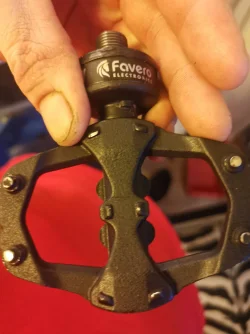 Favaero.webp