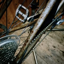 IMG_20250224_211922_290.webp