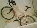 DSC00005.JPG