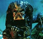 300px-Predator_1.jpg