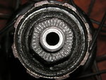 PICT0008.JPG