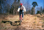 kalle copy.jpg
