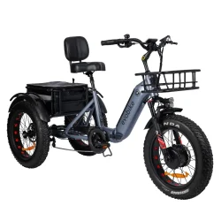 TEMP_Tricycle_Pro (1).webp
