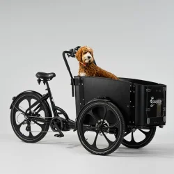 David-Elg-Moob-Cargobike-Delight-Dog-2-2023-S-1.webp