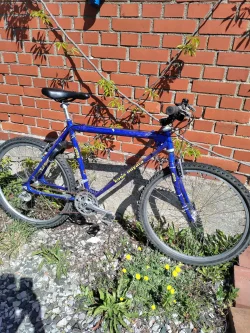 IMG_20250515_105838.webp