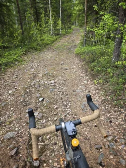 signal-2025-06-09-153719_008.webp