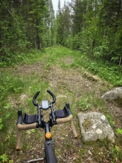 signal-2025-06-29-100923_005.webp