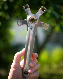 DSCF1306 (1).webp