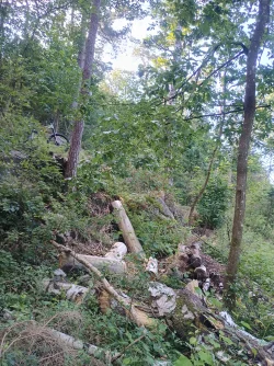 IMG_20250715_075735796_HDR.webp