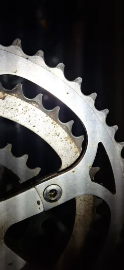 17536257422424019252205791873591.webp