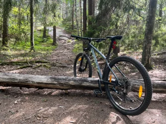 IMG_6721.webp