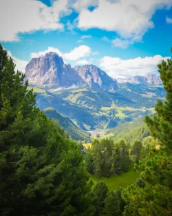 DSCF1378.webp