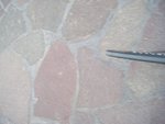 DSCF8711-1.jpg