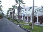 DSCF8739.jpg
