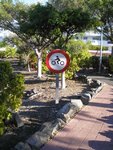 P1010068.jpg