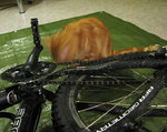 metal cat med cuben.jpg