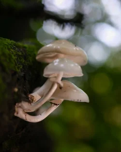 DSCF1890.webp