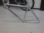 zetec.JPG