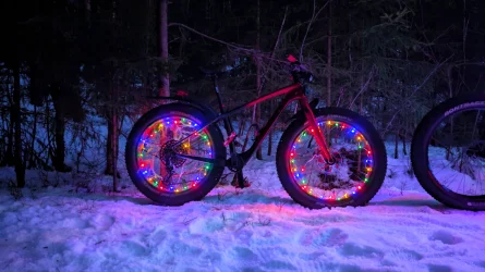 PXL_20251221_134624002.NIGHT~2.webp