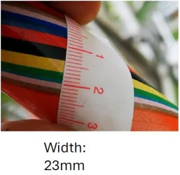2.webp