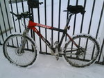 DSC00656.JPG