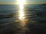 DSC00874.JPG