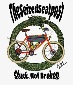 theseizedseatpost.webp