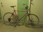 DSC00217.JPG