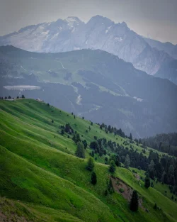 0146f357-662a-4156-a91d-38cefa8e0695~1.webp