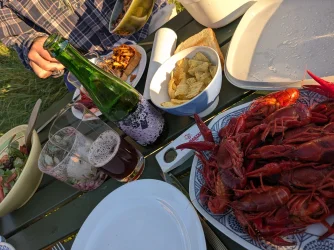 PXL_20260801_181417249.webp
