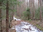 IMG_0898_.jpg