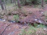 IMG_0899_.jpg