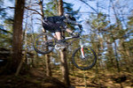 bamsepark_090418.jpg