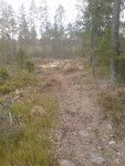 DSC00984.JPG